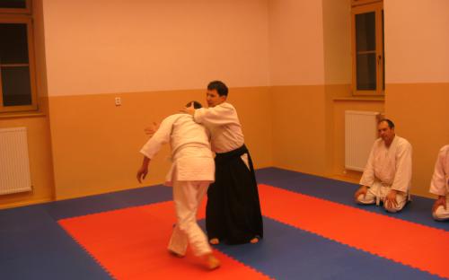 AIKIDO 053.jpg